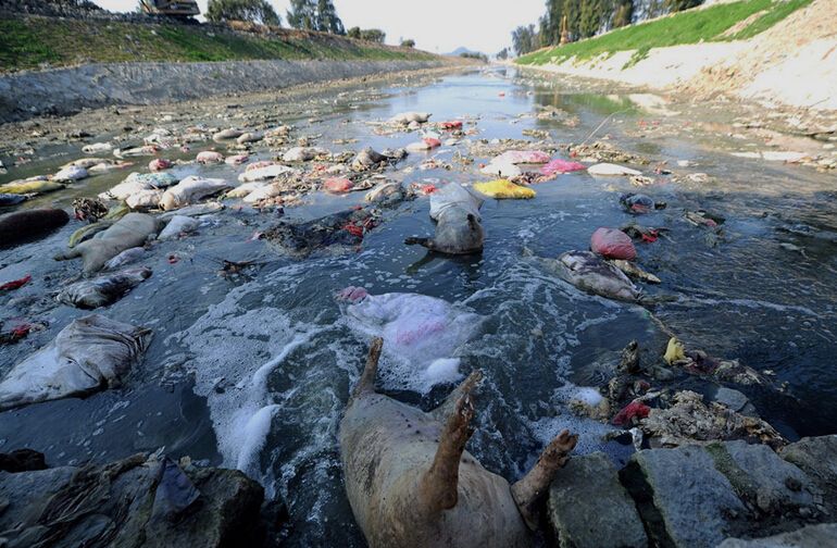 深圳污水檢測 深圳污水檢測