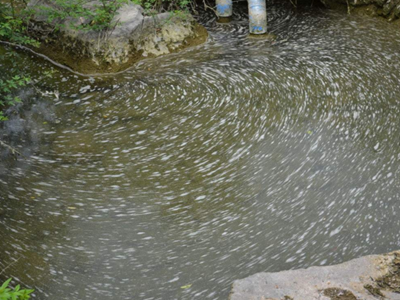 深圳水質(zhì)檢測(cè)