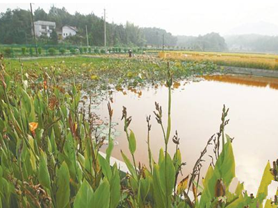 深圳水質(zhì)檢測(cè) 深圳水質(zhì)檢測(cè)